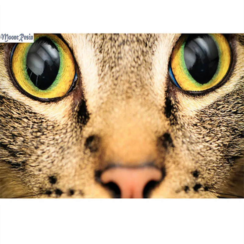 MOONCRESIN Diy Diamond Painting Big Eyes Leopar Diamond Mosaic Full Diamond Embroidery Cross Stitch Decoration Square Paintings
MOONCRESIN Diy Diamond Painting Big Eyes Leopar Diamond Mosaic Full Diamond Embroidery Cross Stitch Decoration Square Paintings