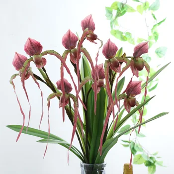 Artificial flower orchid real touch slipper orchid branch fake plant phalaenopsis fake flower
Artificial flower orchid real touch slipper orchid branch fake plant phalaenopsis fake flower
