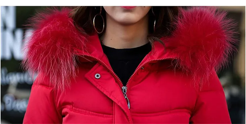female winter coats (23)