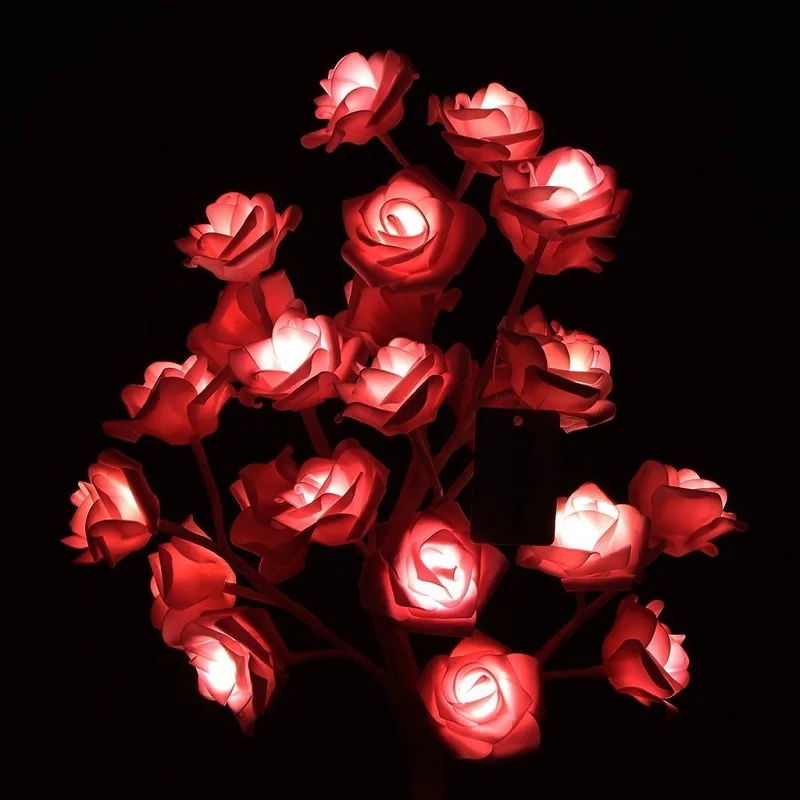 61mucLZdSIL._SL1024_