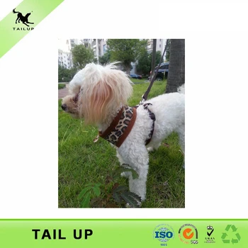TAILUP Goods For Pet Camouflage Weighted Dog Harness Autumn Dog Waterproof Clothes With Leash Hot Sale
TAILUP Goods For Pet Camouflage Weighted Dog Harness Autumn Dog Waterproof Clothes With Leash Hot Sale