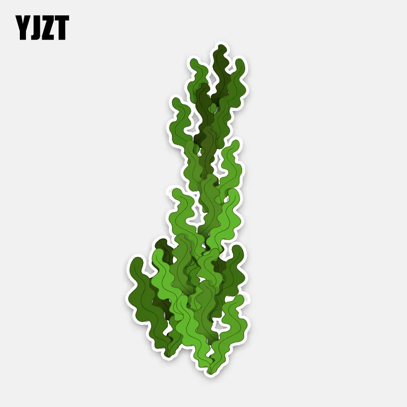 Фото YJZT 5 8 см * 15 7 Модный морской организм зеленые водоросли ПВХ автомобильный
