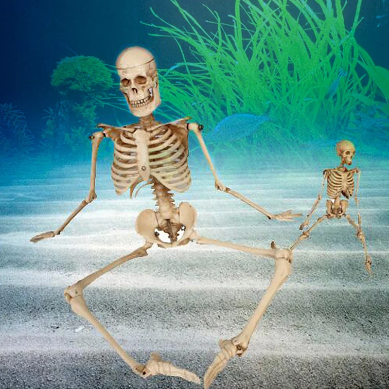 1Pcs Aquarium Human Skeleton Resin Fish Tank Skull Skeleton Resin Ornament Reptile Tank Fish Tank Aquarium Decoration
1Pcs Aquarium Human Skeleton Resin Fish Tank Skull Skeleton Resin Ornament Reptile Tank Fish Tank Aquarium Decoration