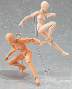 Archetype He She Ferrite Figma Feminino Kun Body Chan Movable Body action figure PVC toys collection doll anime cartoon model
Archetype He She Ferrite Figma Feminino Kun Body Chan Movable Body action figure PVC toys collection doll anime cartoon model