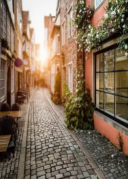 Customize washable wrinkle free brick street buildings photography backdrops for kids photo studio portrait backgrounds S-675
Customize washable wrinkle free brick street buildings photography backdrops for kids photo studio portrait backgrounds S-675