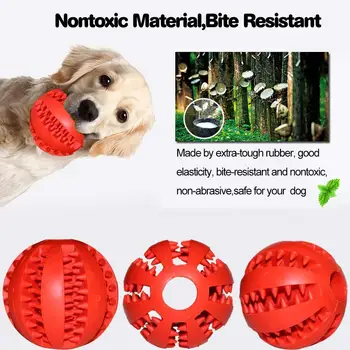 Newly Dog Treat Round Ball Pet Training BPA-Free Non-Toxic Rubber Tooth Cleaning Toys
Newly Dog Treat Round Ball Pet Training BPA-Free Non-Toxic Rubber Tooth Cleaning Toys