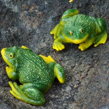 2 pcs Cute Resin Frog Miniature Garden Decoration Sculpture Resin Bonsai Figurine Mini Moss Animals Garden Home Toys Gifts
2 pcs Cute Resin Frog Miniature Garden Decoration Sculpture Resin Bonsai Figurine Mini Moss Animals Garden Home Toys Gifts