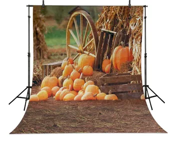 Pumpkin Wheel Hay Farmers Photography Backgrounds Vinyl cloth High quality Computer printed christmas photo backdrop
Pumpkin Wheel Hay Farmers Photography Backgrounds Vinyl cloth High quality Computer printed christmas photo backdrop