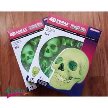 4D Master puzzle assembling toy human fluorescent bone organ anatomical model medical teaching model
4D Master puzzle assembling toy human fluorescent bone organ anatomical model medical teaching model