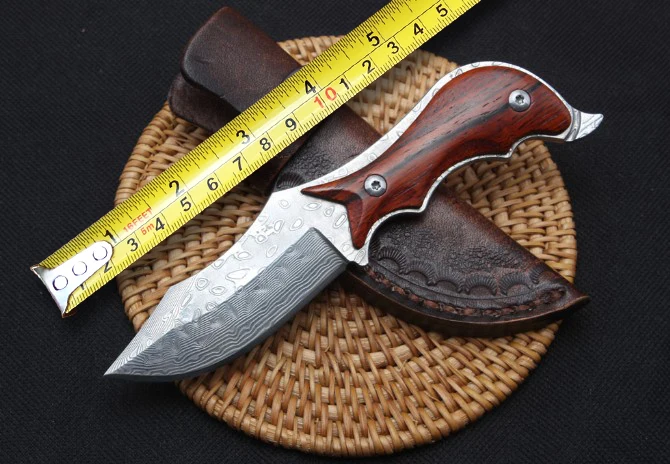 Exquisite Damascus Steel Fixed Blade Knife Small Hunting Knives Utility Camping EDC Knives Rescue Outdoor Tools
Exquisite Damascus Steel Fixed Blade Knife Small Hunting Knives Utility Camping EDC Knives Rescue Outdoor Tools