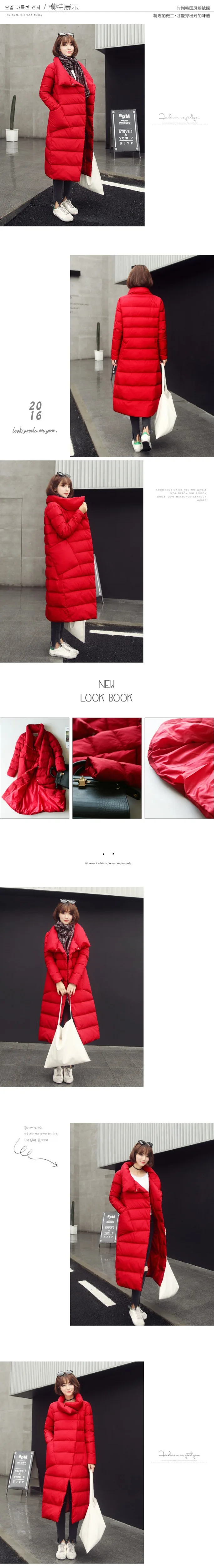 3458304393_223604713