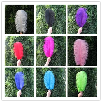 Wholasale 100pcs/lot Elegant ostrich feathers 55-60cm for craft wedding party supplies Carnival dancer decoration plumages
Wholasale 100pcs/lot Elegant ostrich feathers 55-60cm for craft wedding party supplies Carnival dancer decoration plumages