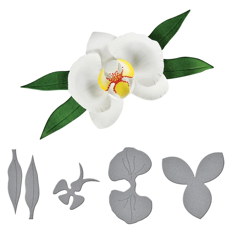 HamyHo Making Photo Scrapbook Decor Supplies 3D Layered Orchid design Metal Cutting Dies for DIY Greeting Card Embossing Die
HamyHo Making Photo Scrapbook Decor Supplies 3D Layered Orchid design Metal Cutting Dies for DIY Greeting Card Embossing Die