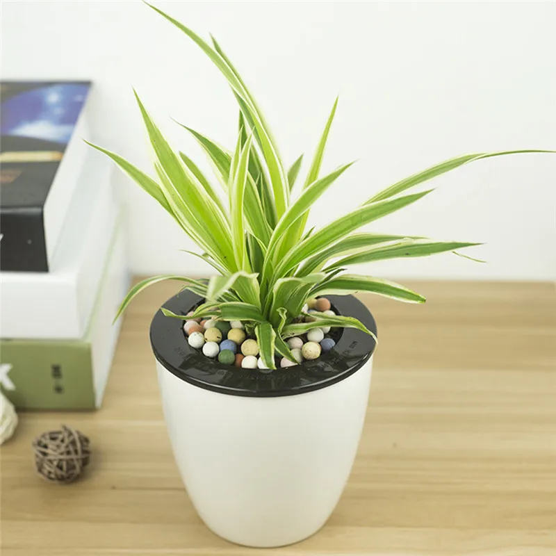 Lazy Flower Pots Automatic Water-Absorbing Plastic Pots Green Water-Based Resin Pots Pots for Flowers Decorative
Lazy Flower Pots Automatic Water-Absorbing Plastic Pots Green Water-Based Resin Pots Pots for Flowers Decorative