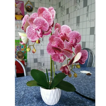 3D Artificial Butterfly Orchid Flowers Fake Moth flor Orchid Flower for Home Wedding DIY Decoration Real Touch Home Decor Flore
3D Artificial Butterfly Orchid Flowers Fake Moth flor Orchid Flower for Home Wedding DIY Decoration Real Touch Home Decor Flore