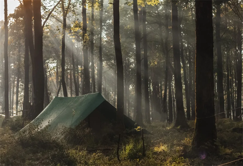 Laeacco Forest Trees Outdoor Camp Tent Scene Photographic Backgrounds Customized Photography Backdrops For Photo Studio
Laeacco Forest Trees Outdoor Camp Tent Scene Photographic Backgrounds Customized Photography Backdrops For Photo Studio