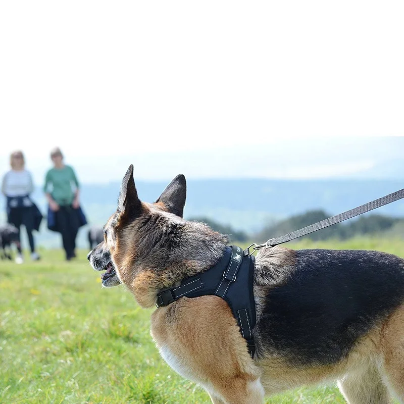 Поводок полиция K9 для собак регулируемая длина ошейника прогулок средних и
