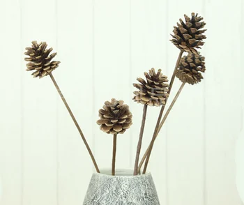 50pc/lot Pinecore DIY Handmade Dried Flower Party Decor wedding decoration home bedroom living room office DIY Decorative flower
50pc/lot Pinecore DIY Handmade Dried Flower Party Decor wedding decoration home bedroom living room office DIY Decorative flower