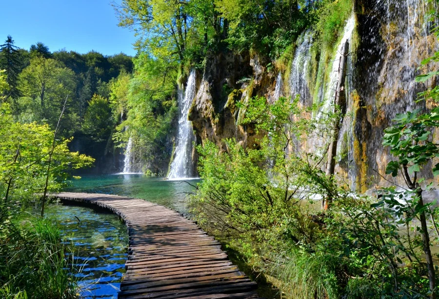 Laeacco Nature Backdrops Waterfall Mountain River Tree Wooden Way Beautiful View Scene Photo Backgrounds Photocall Photo Studio
Laeacco Nature Backdrops Waterfall Mountain River Tree Wooden Way Beautiful View Scene Photo Backgrounds Photocall Photo Studio