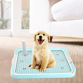 Dog Toilet Tray Puppy Cat Litter Potty Training Pad Holder Pets Supplies CatToilet Also Close For Dog туалет для кошек
Dog Toilet Tray Puppy Cat Litter Potty Training Pad Holder Pets Supplies CatToilet Also Close For Dog туалет для кошек