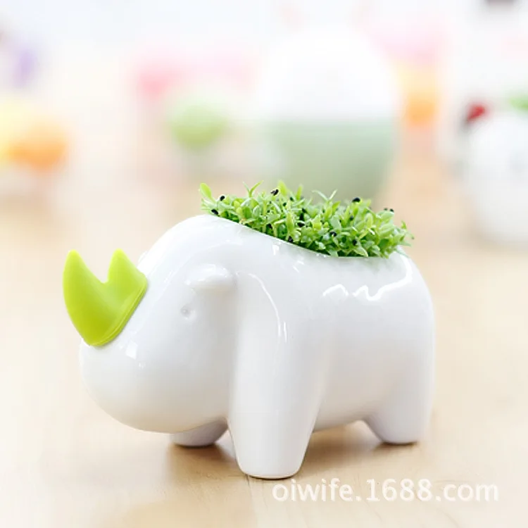Network selling ceramics meaty miniature potted plants Creative Desktop factory direct radiation grass planting
Network selling ceramics meaty miniature potted plants Creative Desktop factory direct radiation grass planting