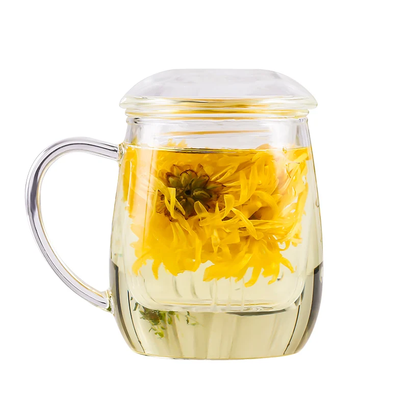 

1pc 480ML Borosilicate Glass Tea Mug Office Flower Teacup with Glass Tea Infuser Kungfu-Tea B27