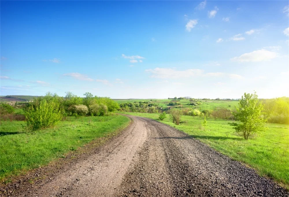 Laeacco Countryside Trees Field Road Blue Sky Scenic Photography Backgrounds Customized Photographic Backdrops For Photo Studio
Laeacco Countryside Trees Field Road Blue Sky Scenic Photography Backgrounds Customized Photographic Backdrops For Photo Studio