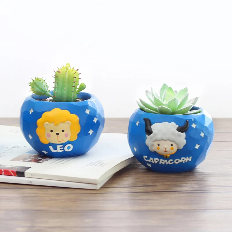 Roogo 12 constellations series succulent flower pot decorative resin vase garden supplies planter Women's Favorites gifts
Roogo 12 constellations series succulent flower pot decorative resin vase garden supplies planter Women's Favorites gifts