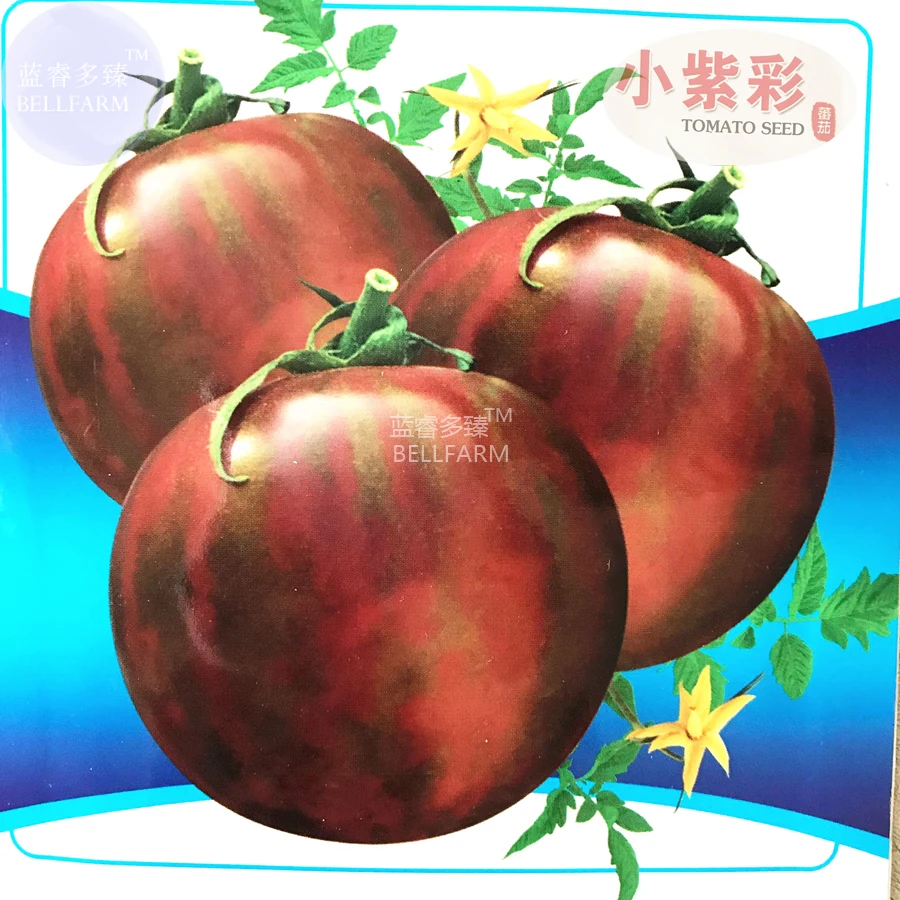 BELLFARM Tomato Coffee Color with Brown Stripes 