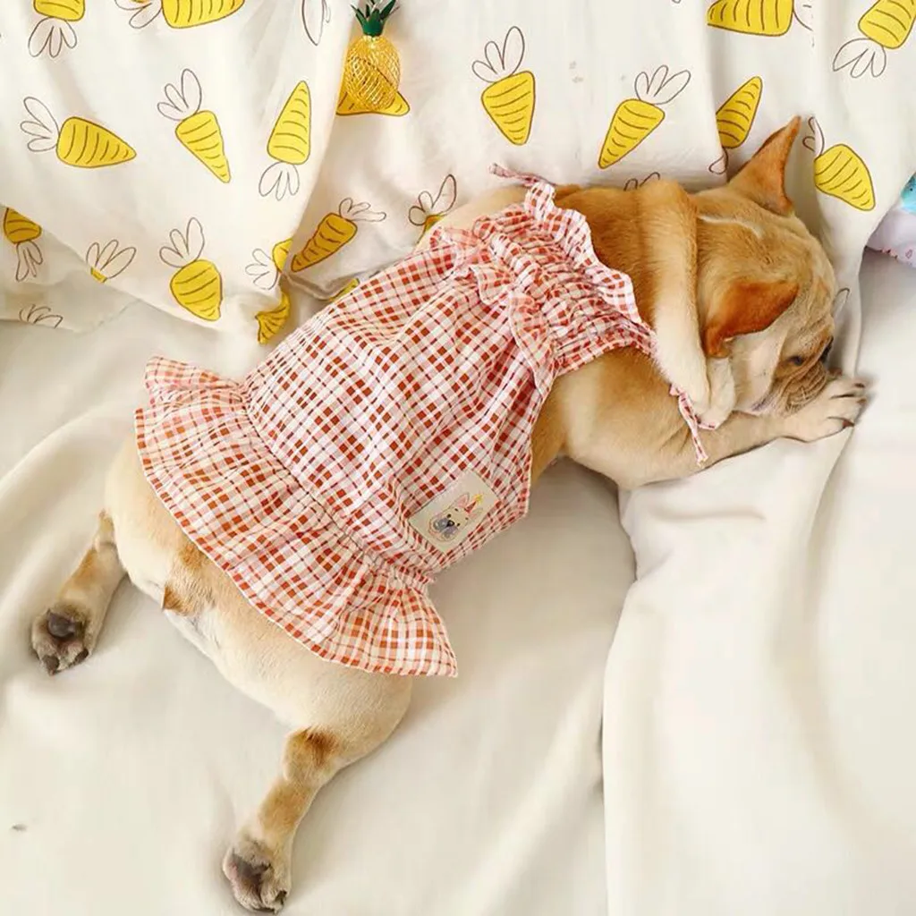 Dog dresses Pet Dog Spring & Summer Fluffy Leisure Red Format Sexy Sling dogs Skirt Clothes 2019 new drop ship HOT kedi elbisesi
Dog dresses Pet Dog Spring & Summer Fluffy Leisure Red Format Sexy Sling dogs Skirt Clothes 2019 new drop ship HOT kedi elbisesi