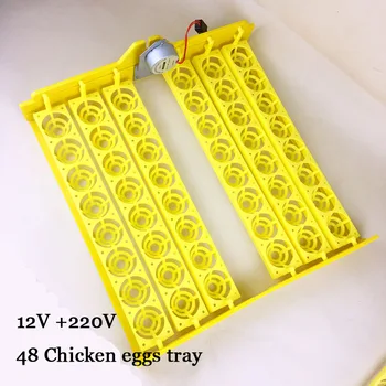 Capacity 48 Automatic Incubator Tray Accessory with Motor Turn Egg Storage Rack Bird Chicken Farming Equipment 12V 220V YZ8-48
Capacity 48 Automatic Incubator Tray Accessory with Motor Turn Egg Storage Rack Bird Chicken Farming Equipment 12V 220V YZ8-48