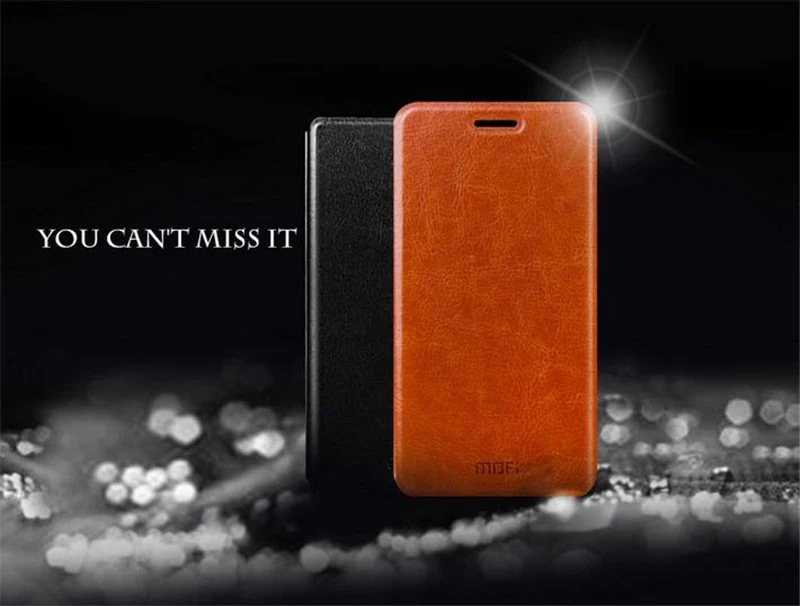 36020170318135513066