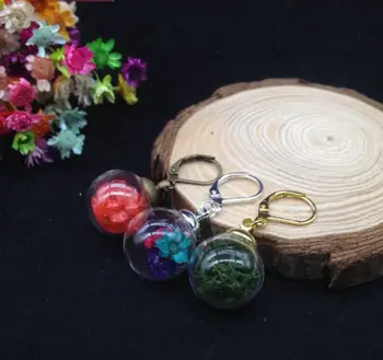 50sets/lot 16*4mm clear cute glass globe bubble & 8mm cap & Earing hook set DIY glass vial earings clip glass wishing bottle
50sets/lot 16*4mm clear cute glass globe bubble & 8mm cap & Earing hook set DIY glass vial earings clip glass wishing bottle