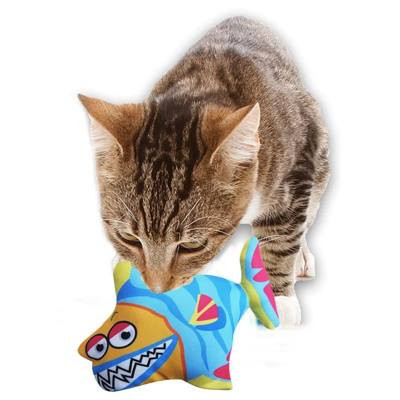 Random Color Pet Cat Elastic Colorful Fish Pillow Kitten Molar Chew Toy Filled with Catnip
Random Color Pet Cat Elastic Colorful Fish Pillow Kitten Molar Chew Toy Filled with Catnip