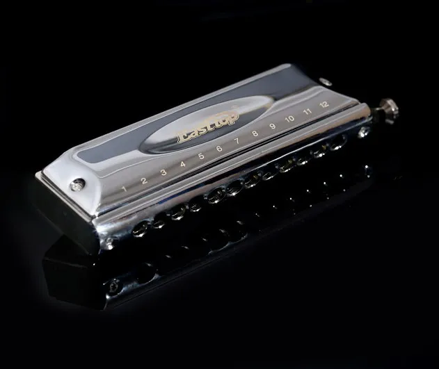 EASTTOP 12 hole 48 tone chromatic harmonica,ABS comb,key of C,professional harmonica
EASTTOP 12 hole 48 tone chromatic harmonica,ABS comb,key of C,professional harmonica