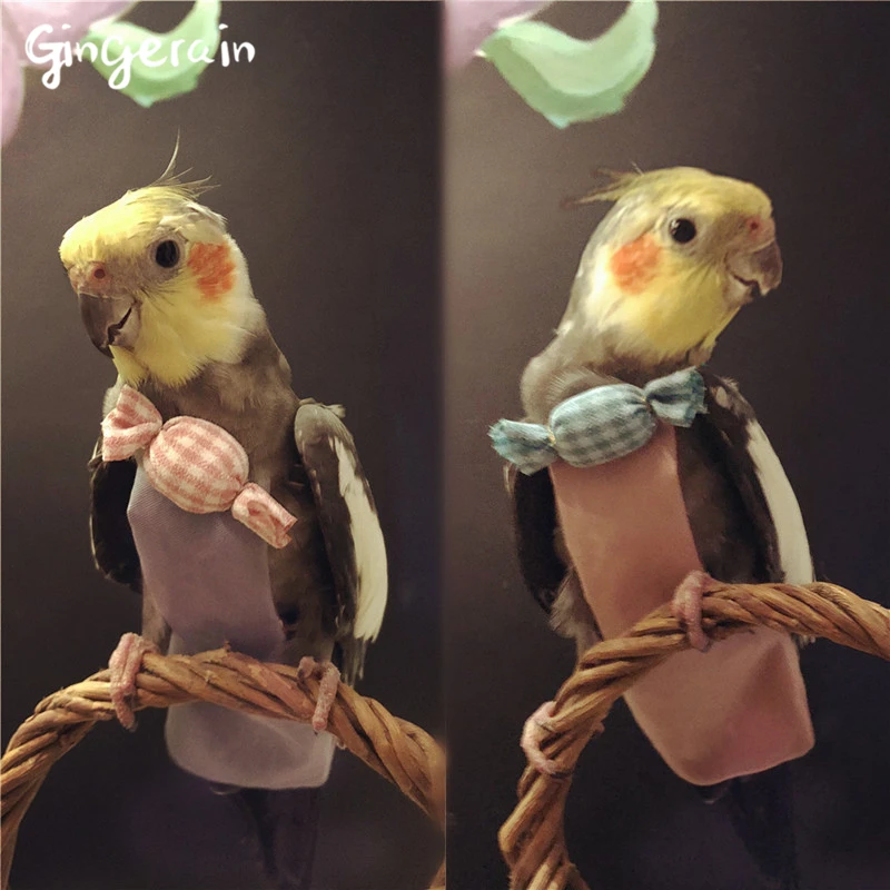 Gingerain Bird clothes Parrot clothes diaper A sugar original hand-made custom bird clothes diaper A sugar 
Gingerain Bird clothes Parrot clothes diaper A sugar original hand-made custom bird clothes diaper A sugar