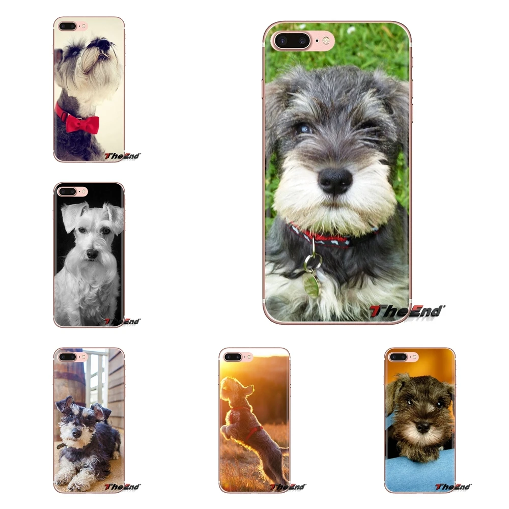 Soft Housing Case Miniature Schnauzer Puppy dog For Xiaomi Mi3 Samsung A10 A30 A40 A50 A60 A70 Galaxy S2 Note 2 Grand Core Prime
Soft Housing Case Miniature Schnauzer Puppy dog For Xiaomi Mi3 Samsung A10 A30 A40 A50 A60 A70 Galaxy S2 Note 2 Grand Core Prime