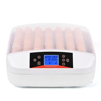 56 Eggs Incubator Full-automatic Egg Incubator Hatcher Eggs Hatching Machine with Temperature Control Onekey LED Egg Tester
56 Eggs Incubator Full-automatic Egg Incubator Hatcher Eggs Hatching Machine with Temperature Control Onekey LED Egg Tester