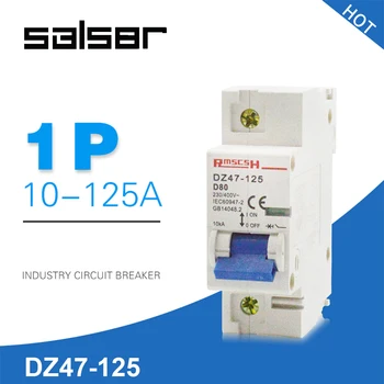 DZ47-125 1P Household Atmosphere Switch Short Circuit Protect Type Small-sized Mini Circuit Breaker 80/100/125A
DZ47-125 1P Household Atmosphere Switch Short Circuit Protect Type Small-sized Mini Circuit Breaker 80/100/125A