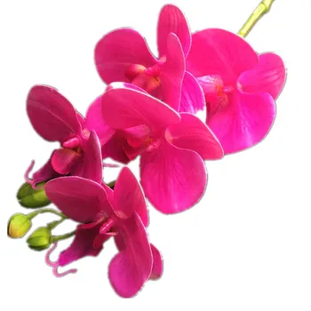 one Real Touch Orchid Flower Fake Fuchsia Cymbidium PU 3D Plant Orchids Phalaenopsis Orchids for Artificial Decorative Flowers
one Real Touch Orchid Flower Fake Fuchsia Cymbidium PU 3D Plant Orchids Phalaenopsis Orchids for Artificial Decorative Flowers