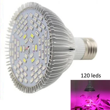 E27 120 Leds Plant Grow Lamp Bulb Full Spectrum LED Crowing Lights AC85-265V For Hydroponic Vegetable System Growing Tent
E27 120 Leds Plant Grow Lamp Bulb Full Spectrum LED Crowing Lights AC85-265V For Hydroponic Vegetable System Growing Tent