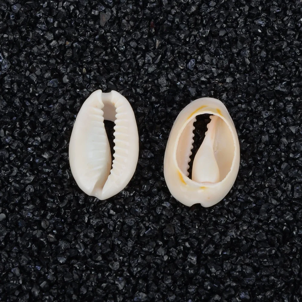 50pcs 1.8-2cm Small Bulk Cut Beach Sea Natural Shell Conch Beads Cowry Cowrie Tribal Jewelery Craft Accessories holes DIY PAT32 (3)