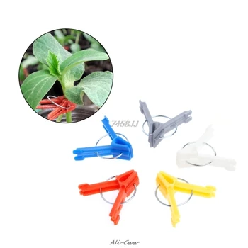 100Pcs Durable Plastic Grafting Clips Garden Vegetable Flower Tomato Plant Tree Vine Bushes Plants Grafting Tracking Ramdom
100Pcs Durable Plastic Grafting Clips Garden Vegetable Flower Tomato Plant Tree Vine Bushes Plants Grafting Tracking Ramdom