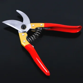 New Pruning Shears Pruning Tools for Trees Fruit Scissors Pruners Cutting Tool Garden Shears Gardening Secateurs Easy Pruners
New Pruning Shears Pruning Tools for Trees Fruit Scissors Pruners Cutting Tool Garden Shears Gardening Secateurs Easy Pruners
