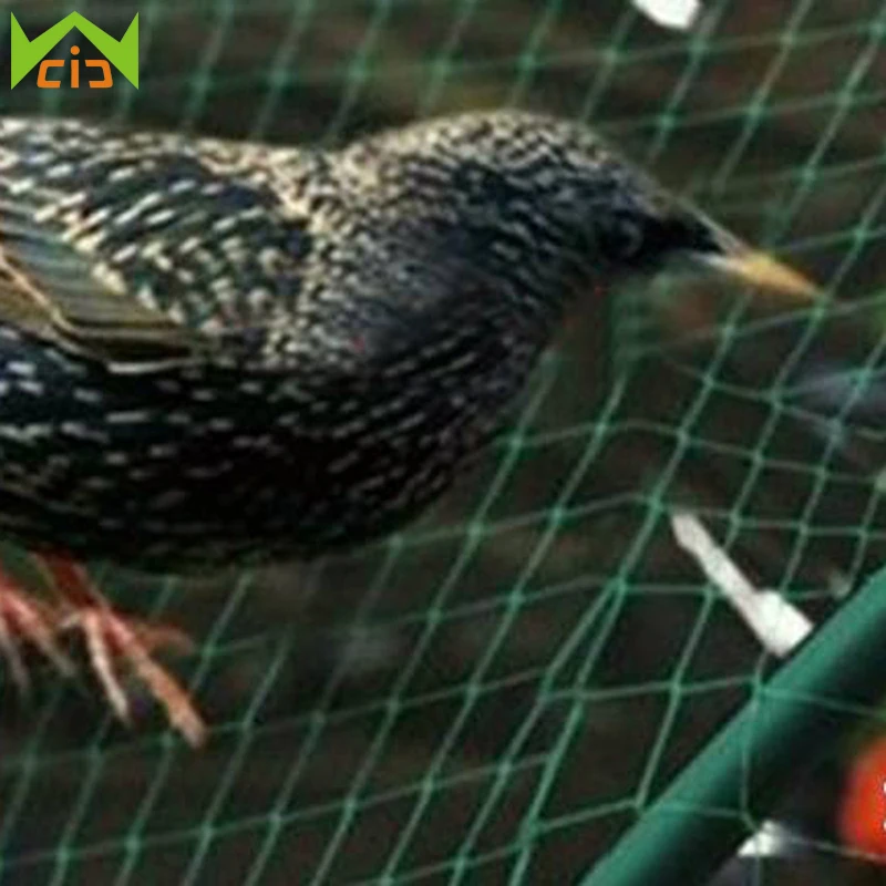 WCIC 4x6m Green Nylon Bird Net Pond Net Crop Fruit Tree Vegetable Garden Protection Net Pest Control
WCIC 4x6m Green Nylon Bird Net Pond Net Crop Fruit Tree Vegetable Garden Protection Net Pest Control