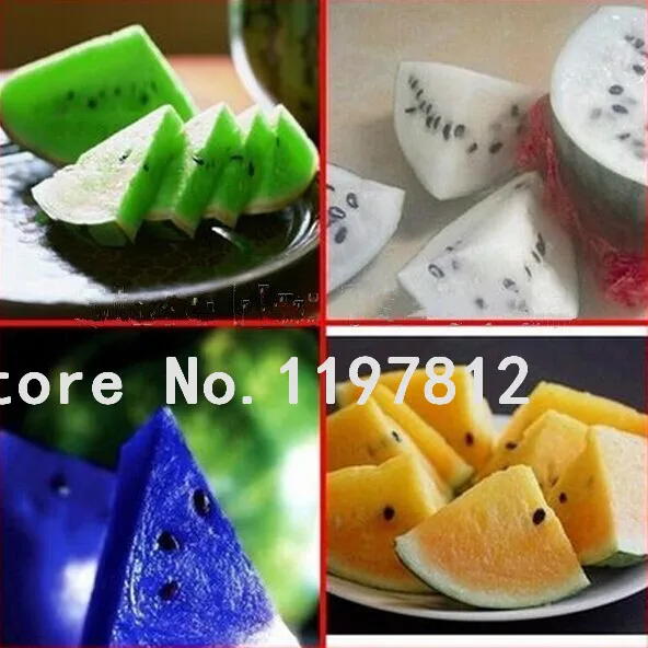 New Cheap 20 Pcs 5 Kinds Very Sweet Watermelon Fruit Yellow Red Blue White Green Rare Vegetable bonsai Rare edible
New Cheap 20 Pcs 5 Kinds Very Sweet Watermelon Fruit Yellow Red Blue White Green Rare Vegetable bonsai Rare edible