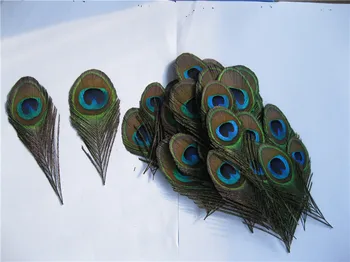100pcs trimmed peacock feather peacock eye feather for costumes design feather costumes 
100pcs trimmed peacock feather peacock eye feather for costumes design feather costumes