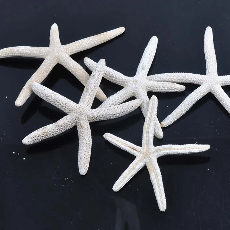 Natural Starfish BEIGE color Scrapbooking Carft for party Home decoration 2pcs 7-10CM CP0329
Natural Starfish BEIGE color Scrapbooking Carft for party Home decoration 2pcs 7-10CM CP0329