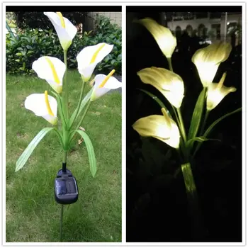 1Pcs Calla Lily Flower Solar-Powered 5 LEDs Pin Lamp Night Light Warm White Light for Yard Garden Wedding Decoration
1Pcs Calla Lily Flower Solar-Powered 5 LEDs Pin Lamp Night Light Warm White Light for Yard Garden Wedding Decoration