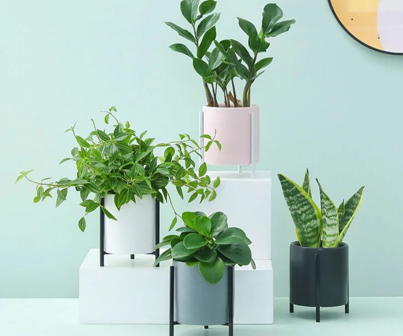 Creative Flower Pots Nordic Minimalist Iron Ceramic Succulent Pot Vanilla Green Plant Desktop Flower Pot For Home Decor LFB624
Creative Flower Pots Nordic Minimalist Iron Ceramic Succulent Pot Vanilla Green Plant Desktop Flower Pot For Home Decor LFB624